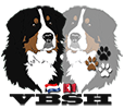 Vereniging De Berner Sennenhond